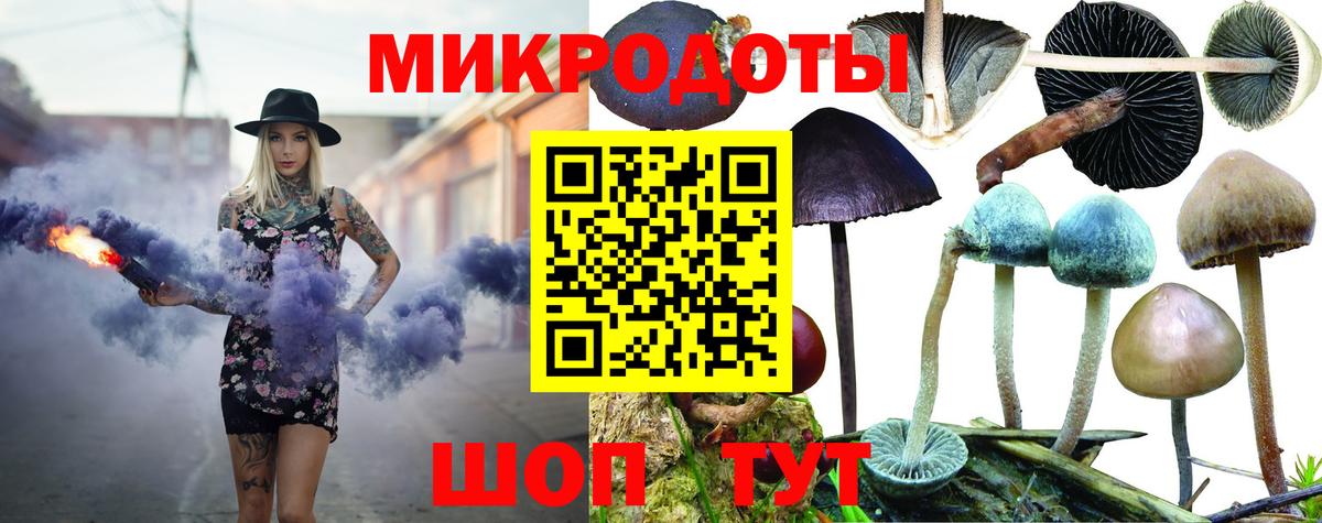 Будённовск  Галлюциногенные грибы прущие грибы  Вход с VPN 